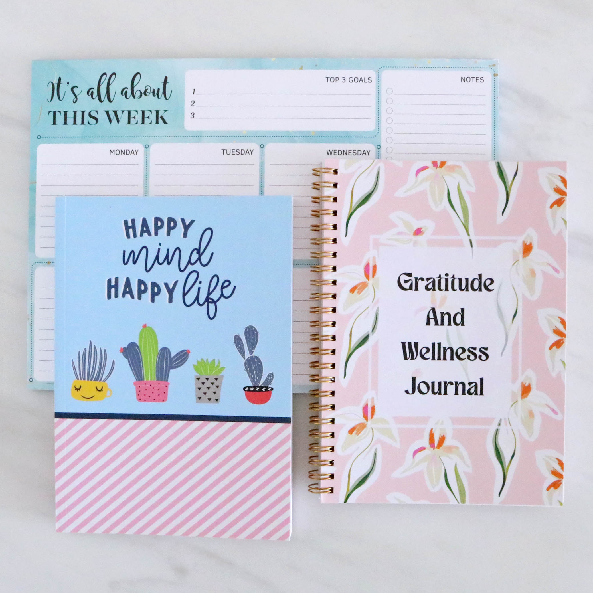 This Week & Notebook & Gratitude Journal Combo